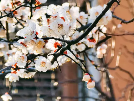 Casino777 Casino Aip Soghluaiste